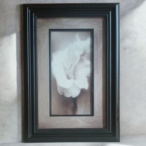 Photographic Art Print | Christine Zalewski